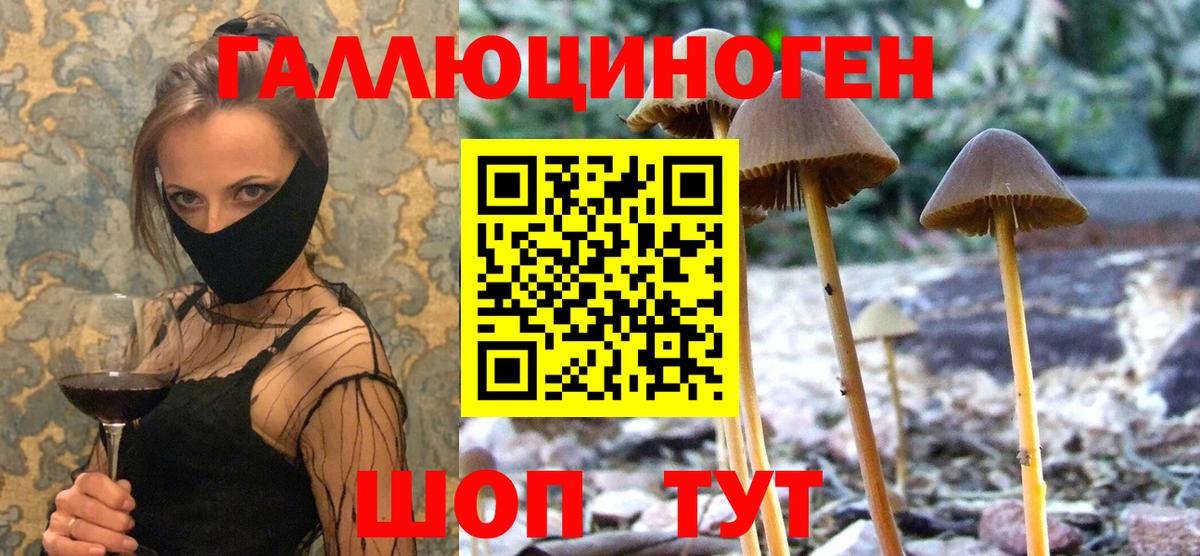 Галлюциногенные грибы Psilocybine cubensis  Вход с VPN  Уссурийск 